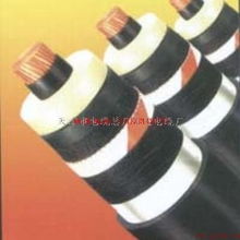 天津電纜廠2×2.5、5×4、5×16電力電纜產(chǎn)品資料詳解